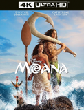 Moana (2026) 4k