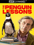 The Penguin Lessons (2025) 4k